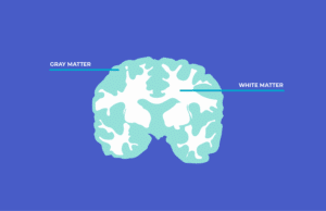 What is "Gray Matter"? - Gray Digital Group